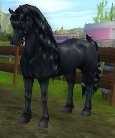 Friesian Horse | Star Stable Online Amino