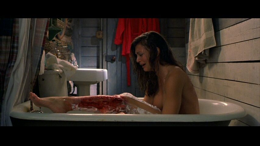 Cabin Fever 2002 Horror Amino