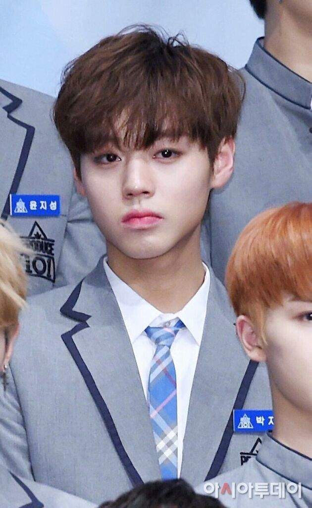 Park Ji Hoon | Wiki | Produce 101 Boys Amino