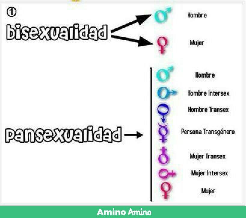 Diferencia Entre Bisexual Y Pansexual Otas