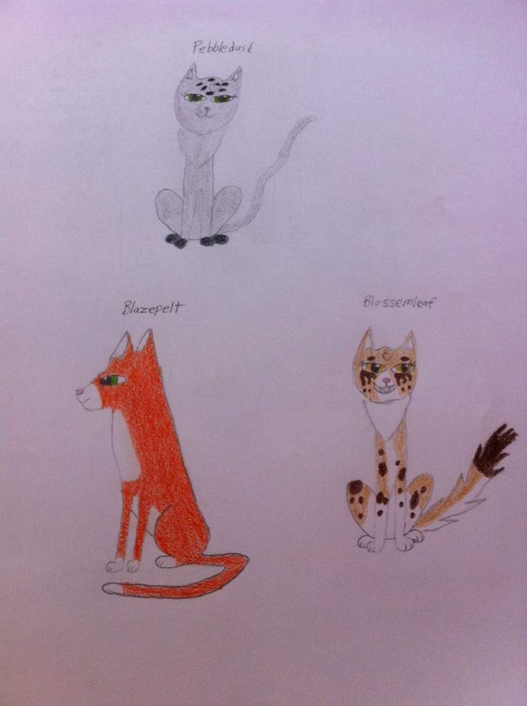 Firestar and Spottedleaf's Kits | Warriors Amino