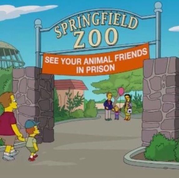 Are Zoos Vegan? | Vegan Amino