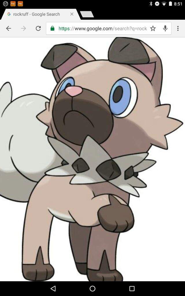 Rockruff Wiki Pokémon Amino