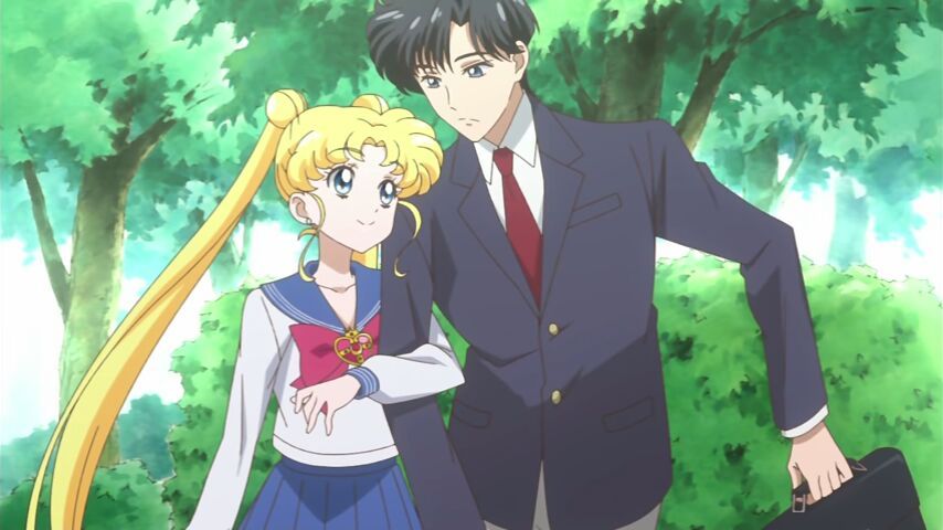 Mamoru x Usagi/Tuxedo Mask x Sailor Moon | Wiki | Sailor Moon Amino