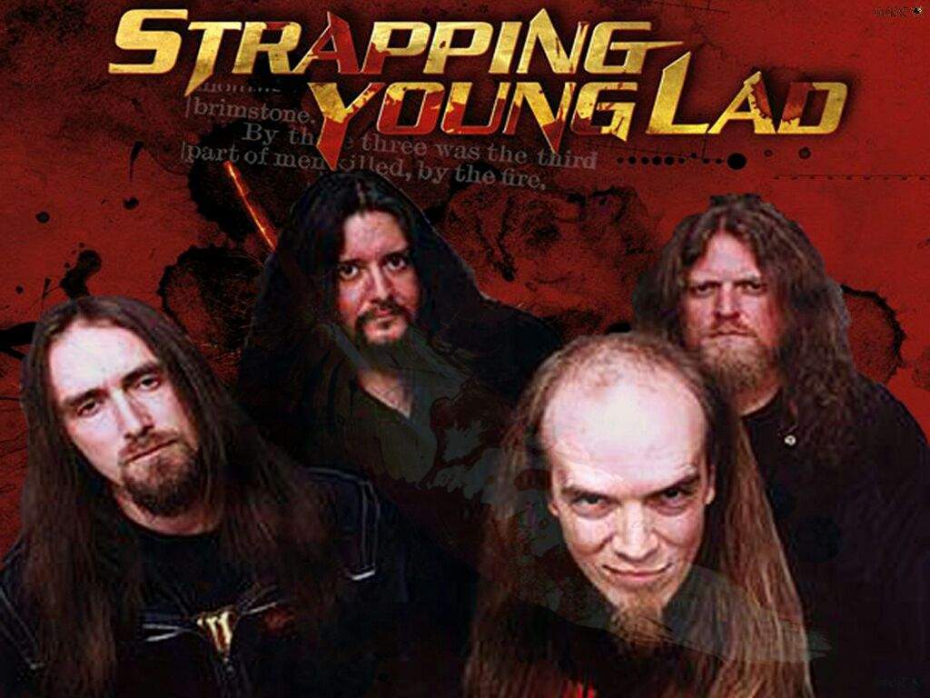 Strapping young. Strapping young lad группа. Девина Таунсенда Strapping young lad. Strapping young lad City 1997. Strapping young lad мерч.