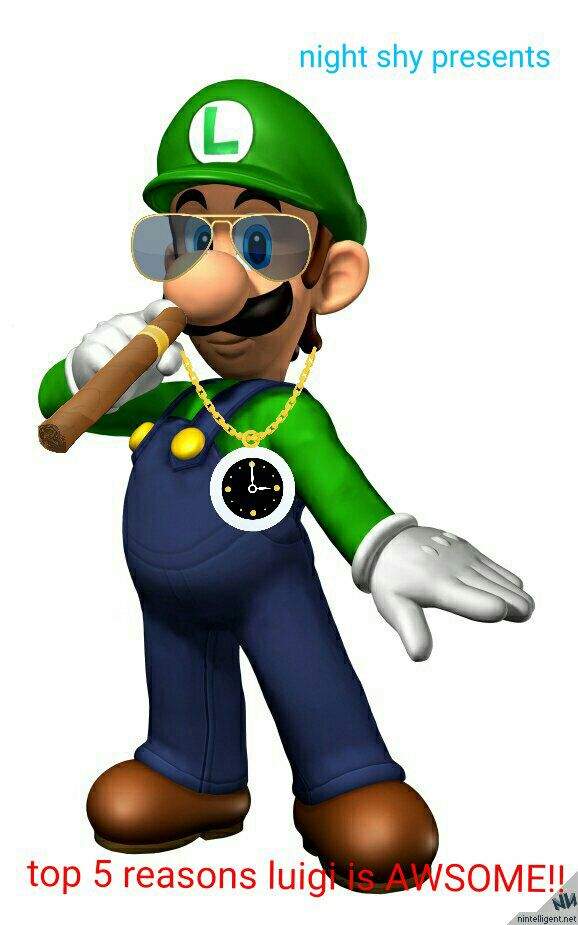 Top 5 reasons why luigi is AWSOME!! Mario Amino