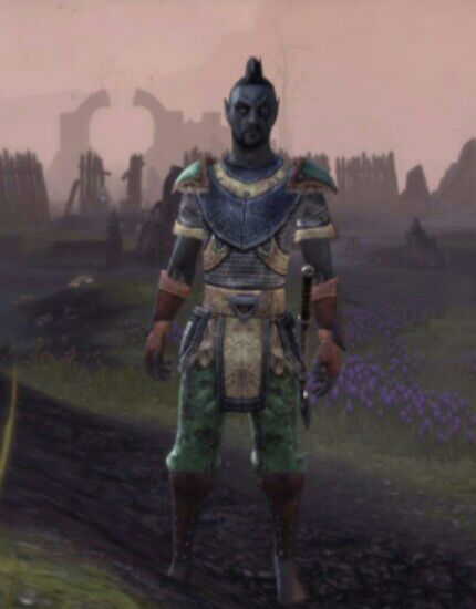 The evolution of my elder scrolls characters | Tamriel: Elder Scrolls ...