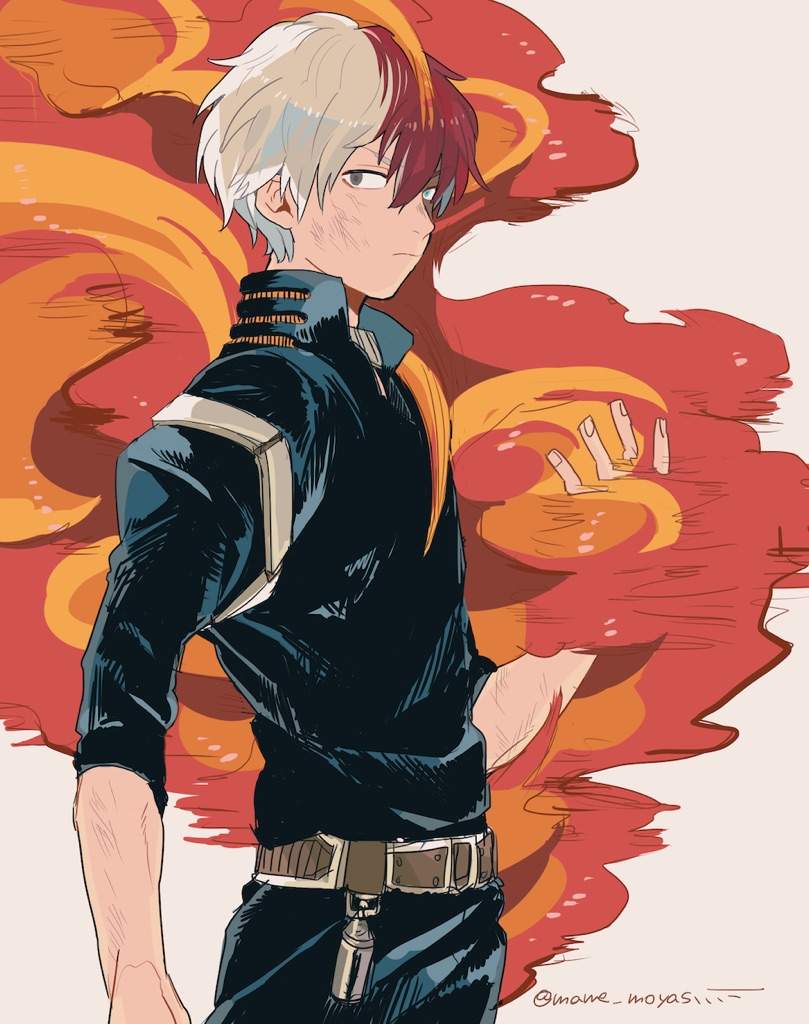 SHOUTO TODOROKI | My Hero Academia Amino