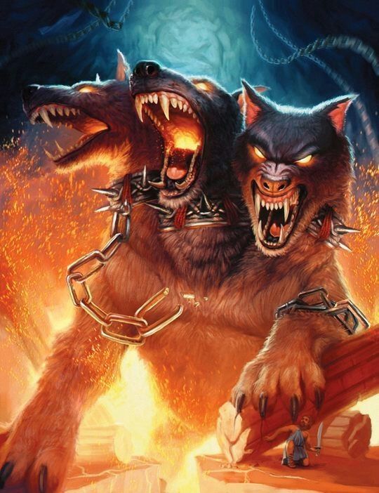 Cerberus | Wiki | Wolf Amino Amino