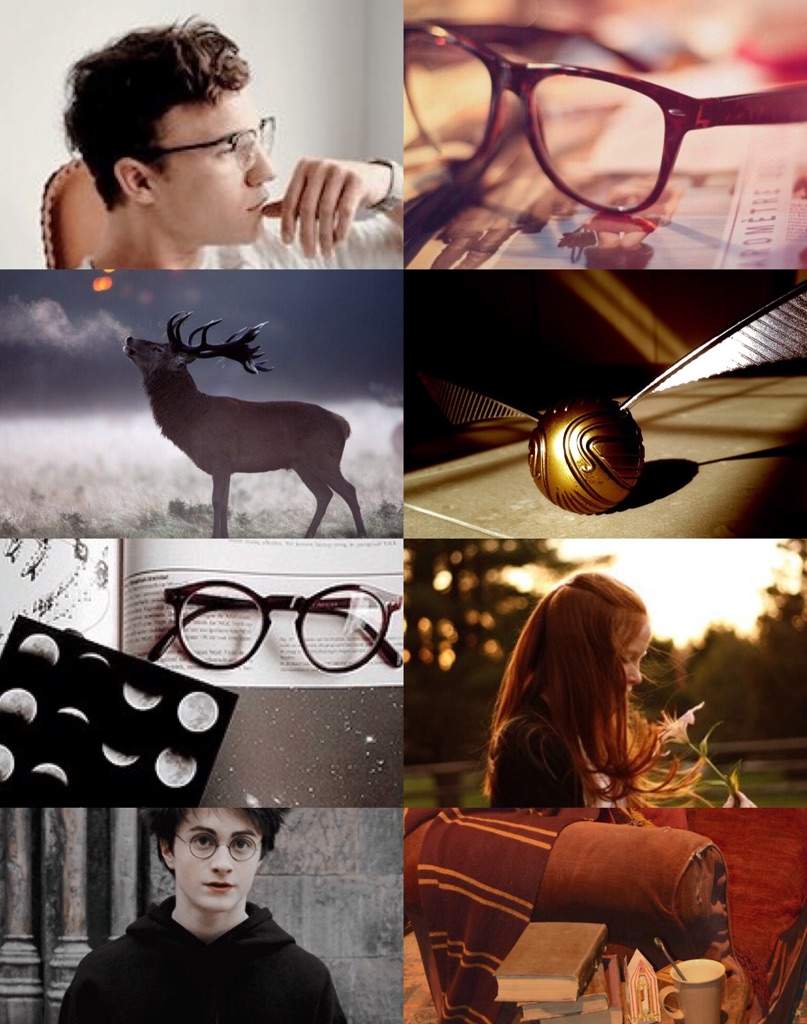 The Marauders Aesthetics | Harry Potter Amino