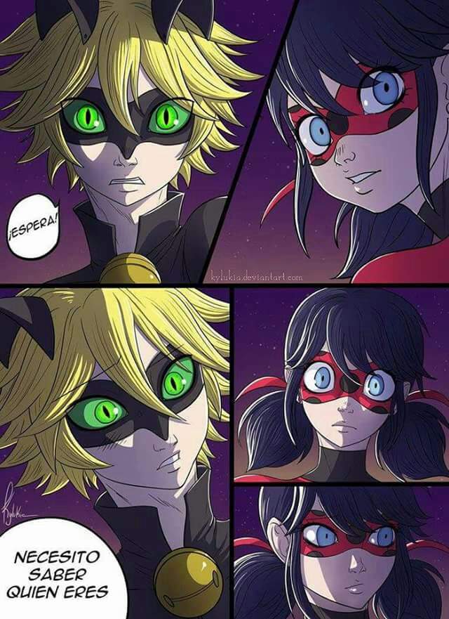 LadyBug & Cat Noir | •Anime• Amino