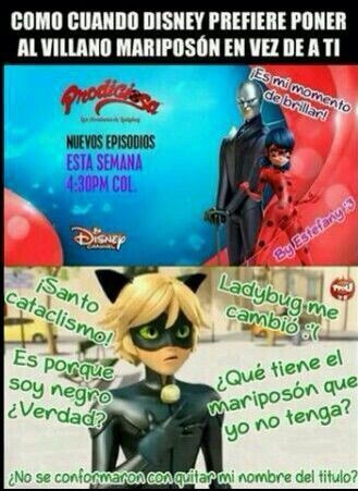 Algunos memes#2 | •Miraculous Ladybug Español• Amino