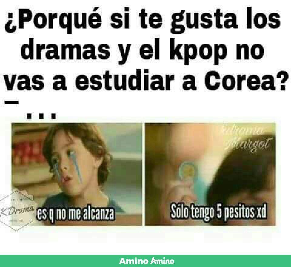 MEMES 3 ARMYs Amino Amino