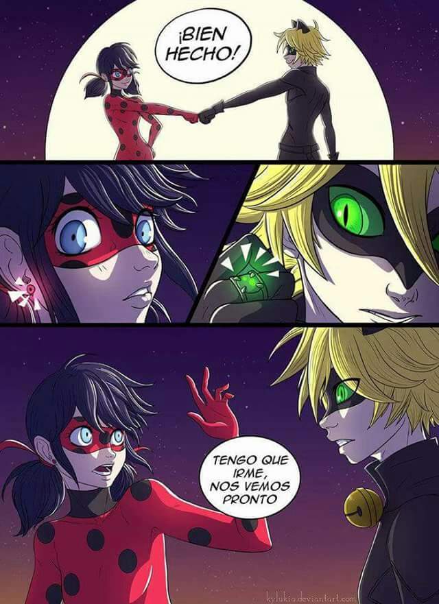 Ladybug Cat Noir Anime Amino