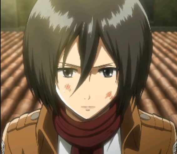 MIKASA DATOS Y CURIOSIDADES 😊(parte 2 ) | •Shingeki No Kyojin [es]• Amino