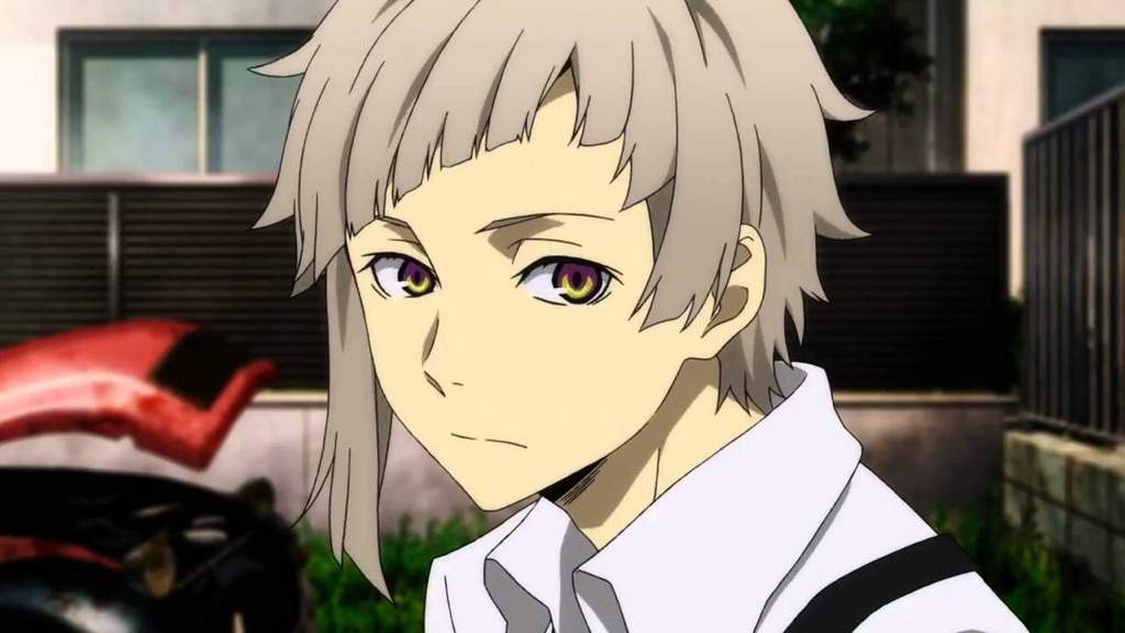 Bungou Stray Dogs Streaming تقرير عن انمي bungou stray dogs | ♥Arab Otaku♥ Amino