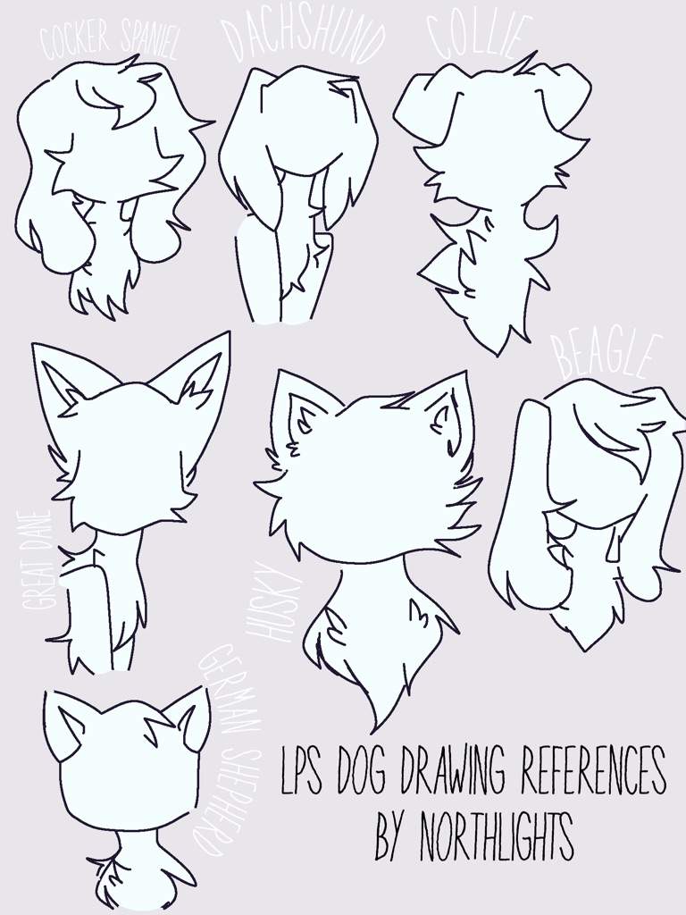LPS Drawing References (Some Cats & Dogs) | LPS Amino