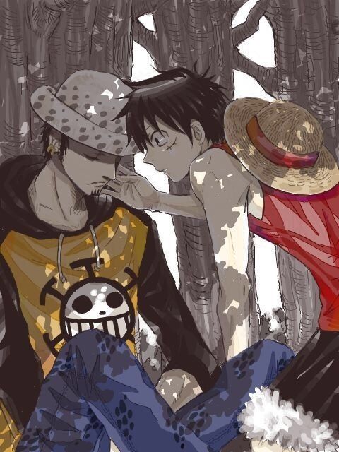 💋Law&Luffy💋 | One Piece Amino