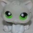 amino-MysticCat#LOVEIT-f95d830d