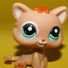 amino-MysticCat#LOVEIT-e3438807