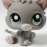 amino-MysticCat#LOVEIT-924c71a0