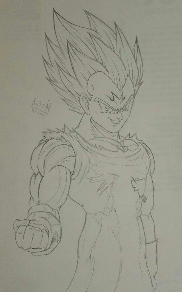 LR Majin Vegeta Sketch | DragonBallZ Amino