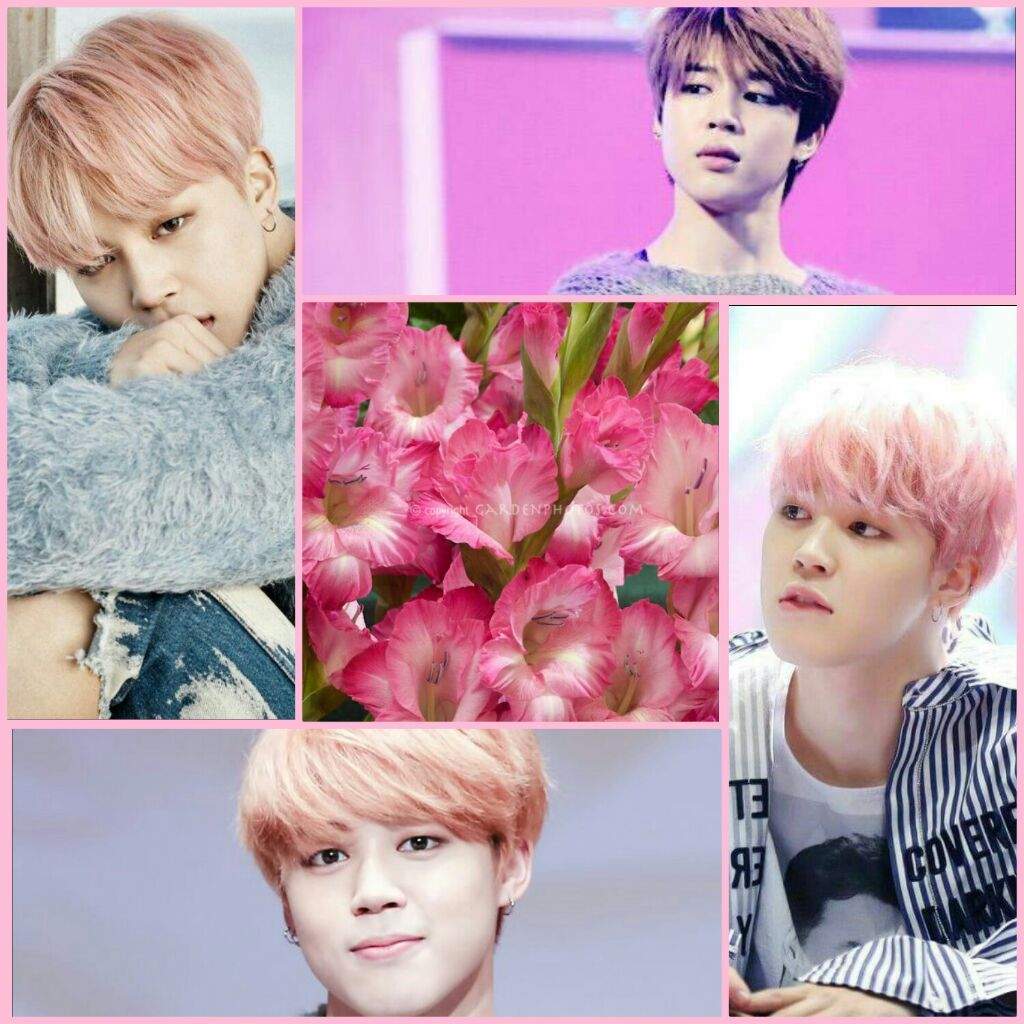 If BTS Were Flowers | ARMY's Amino