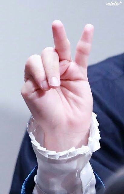 Bangtan Hands Appreciation Army S Amino