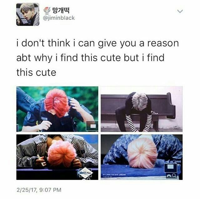 MOCHI MEMES | Park Jimin Amino