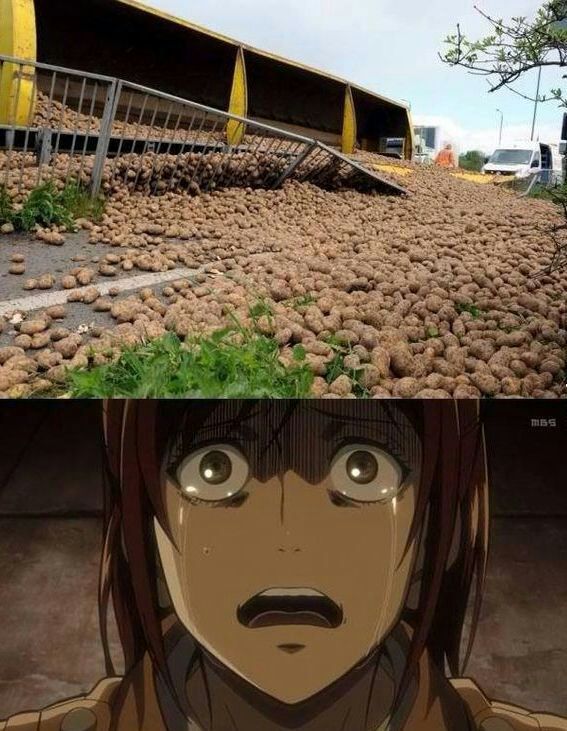 AoT meme meme meme meme meme meme 11# | Attack On Titan Amino