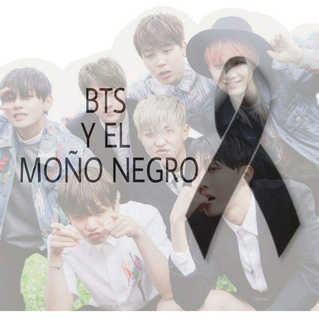 Bts Y El Mono Negro A R M Y S Y Bts Amino