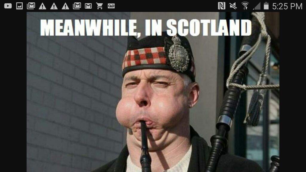 some-scottish-memes-memes-amino