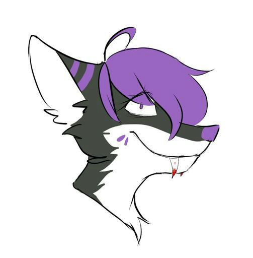 Ari | Wiki | Australian Furries Amino