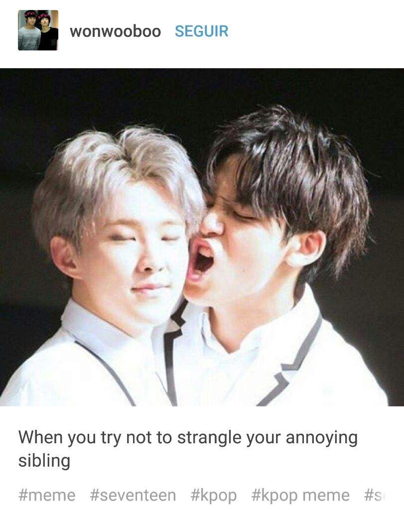 SVT memes~~ | Carat 캐럿 Amino