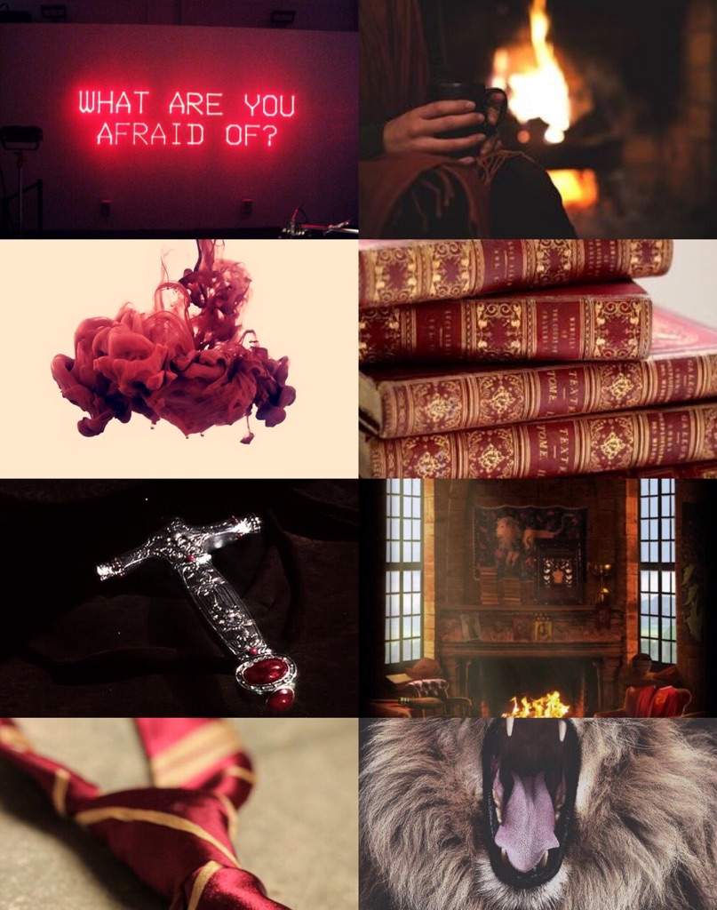 #HPAMoodboard Hogwarts House Aesthetics | Harry Potter Amino