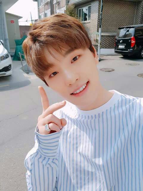 Lee Chan ? | Wiki | Carat ❲캐럿❳ Amino