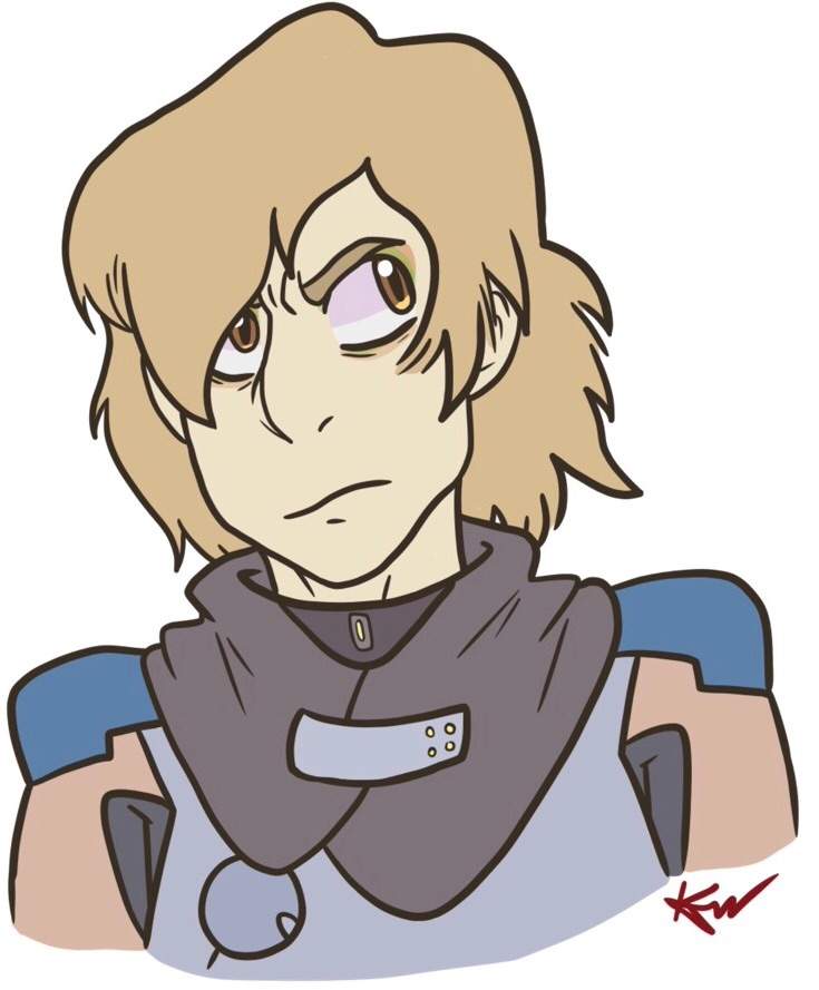 Matt Holt(??) | Voltron Amino