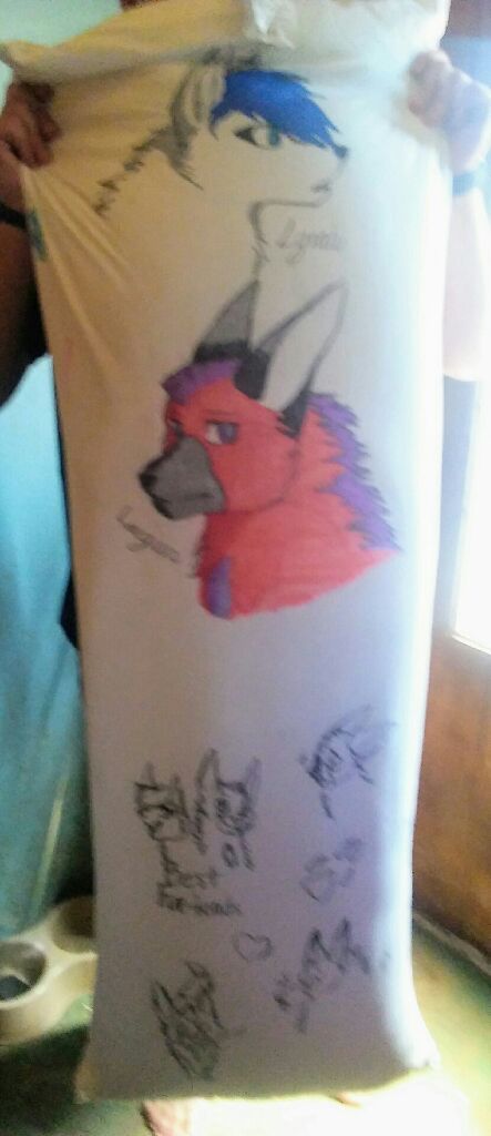 Should My Friend Start Doing Body Pillow Feral Commissions