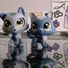 amino-MysticCat#LOVEIT-b15e1420