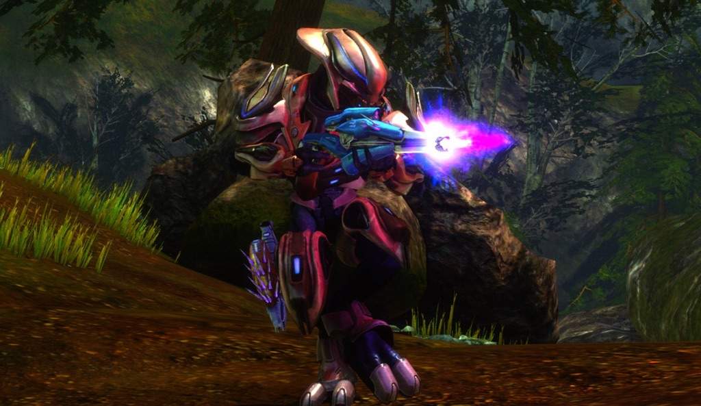 sangheili zealot