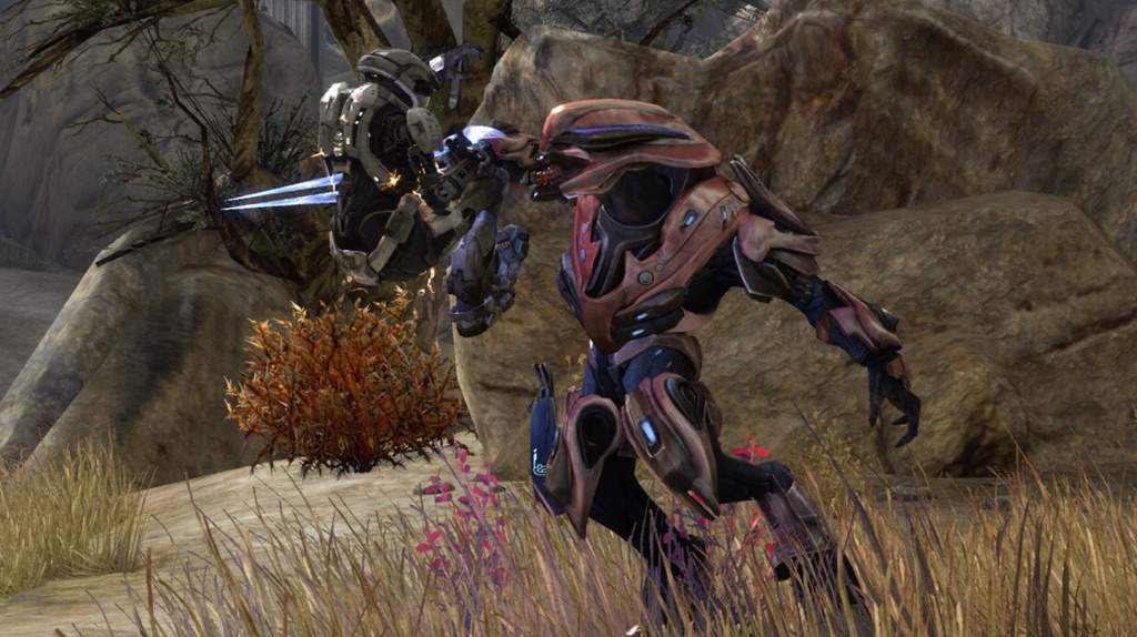 sangheili zealot