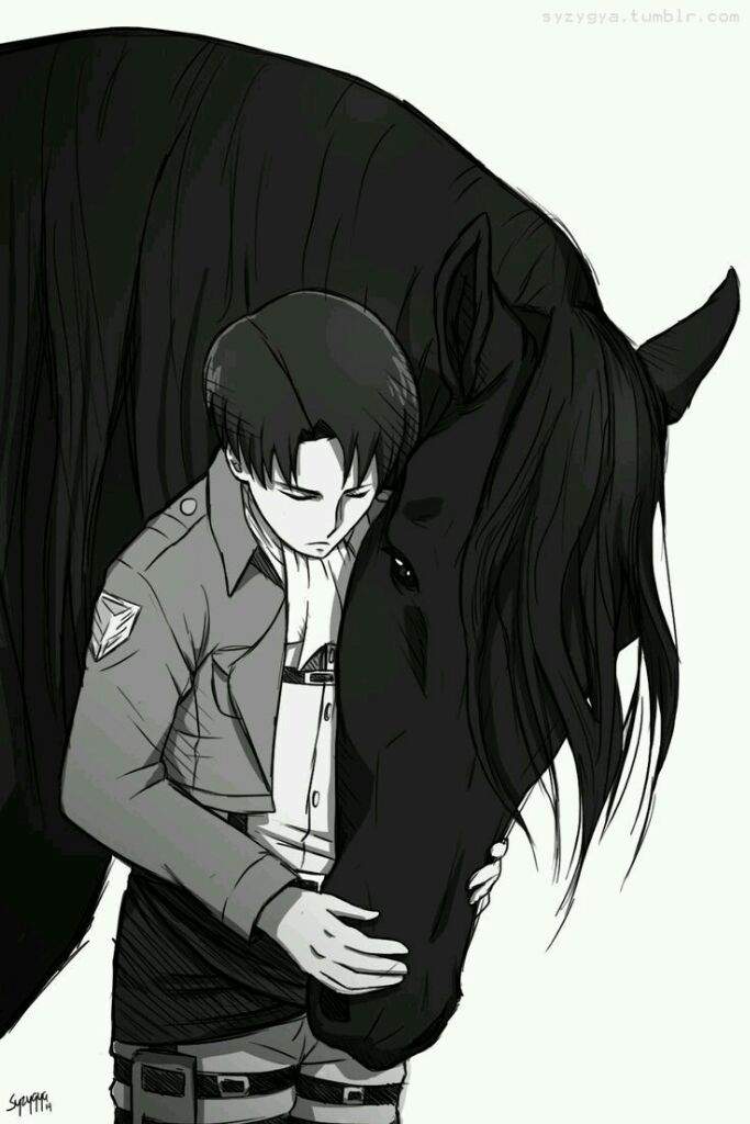 Resultado de imagen de caballos anime