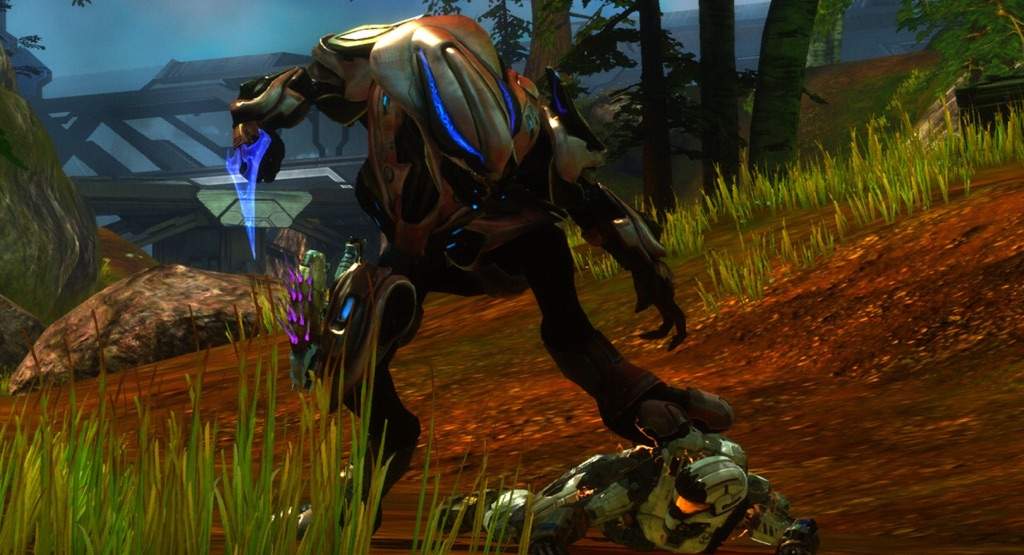 sangheili zealot