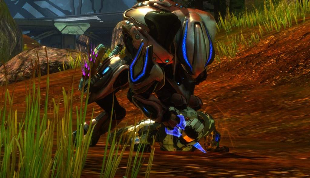 sangheili zealot