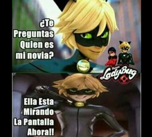 Lady blog. Dibujos | •Miraculous Ladybug Español• Amino