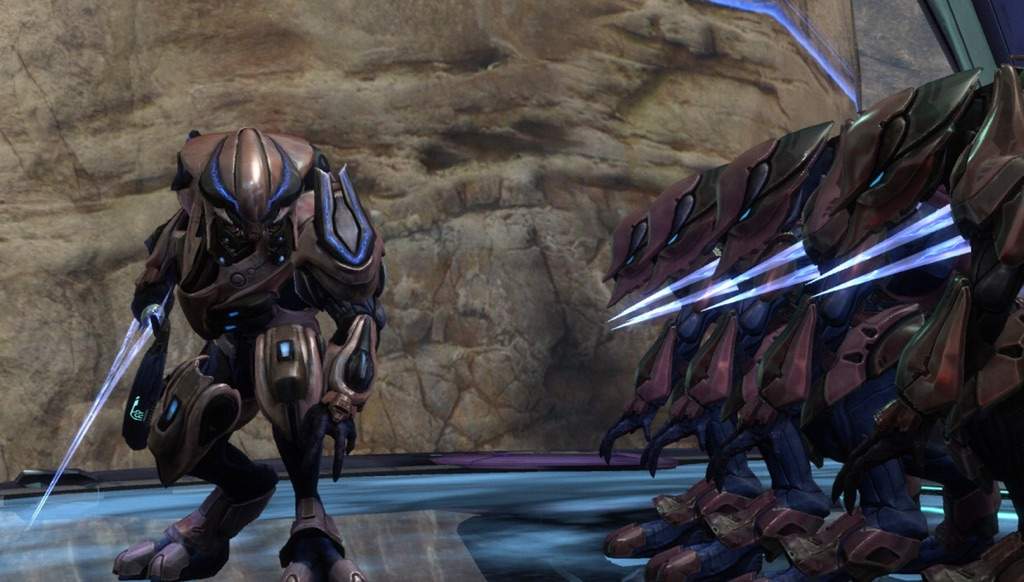 sangheili zealot