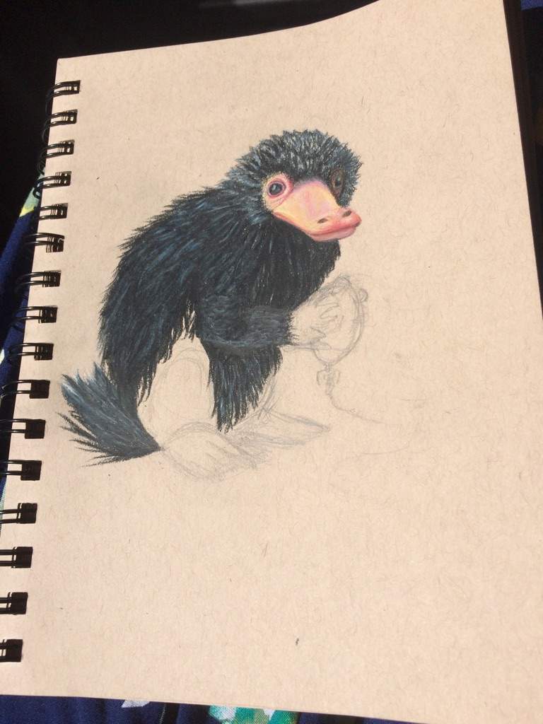 The Niffler Drawing Harry Potter Amino