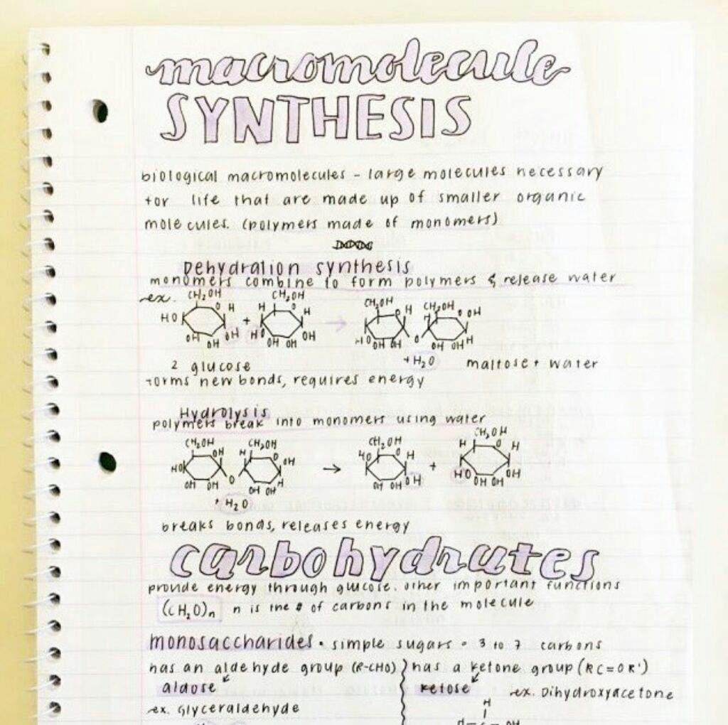 Studyquill | Wiki | Studying Amino Amino