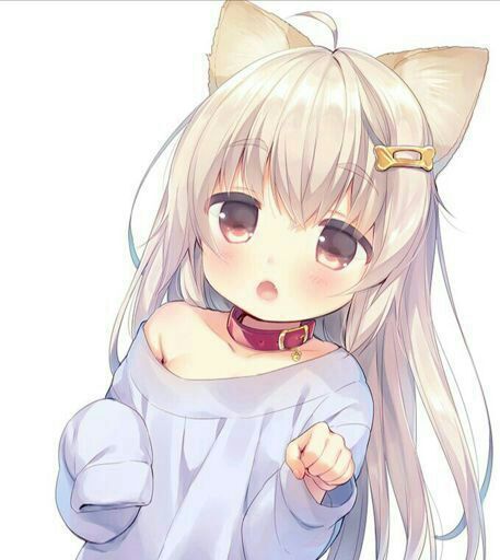 Neko Lolis que Kawaii | •Anime• Amino