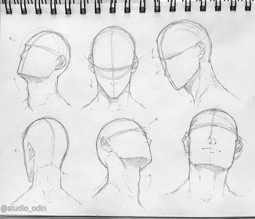 Male head anatomy pt.2 | Drawing Amino